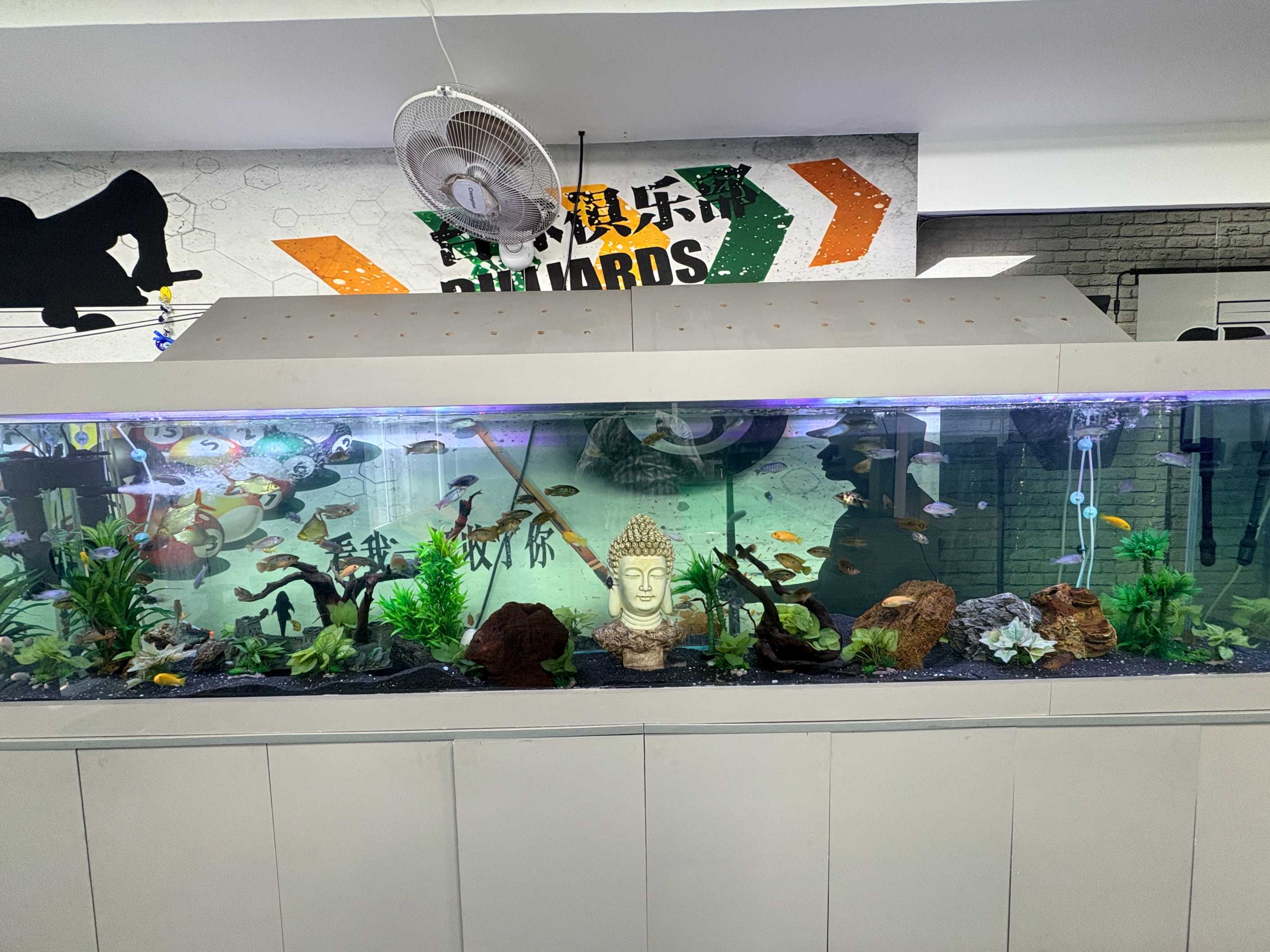 Gallery photo